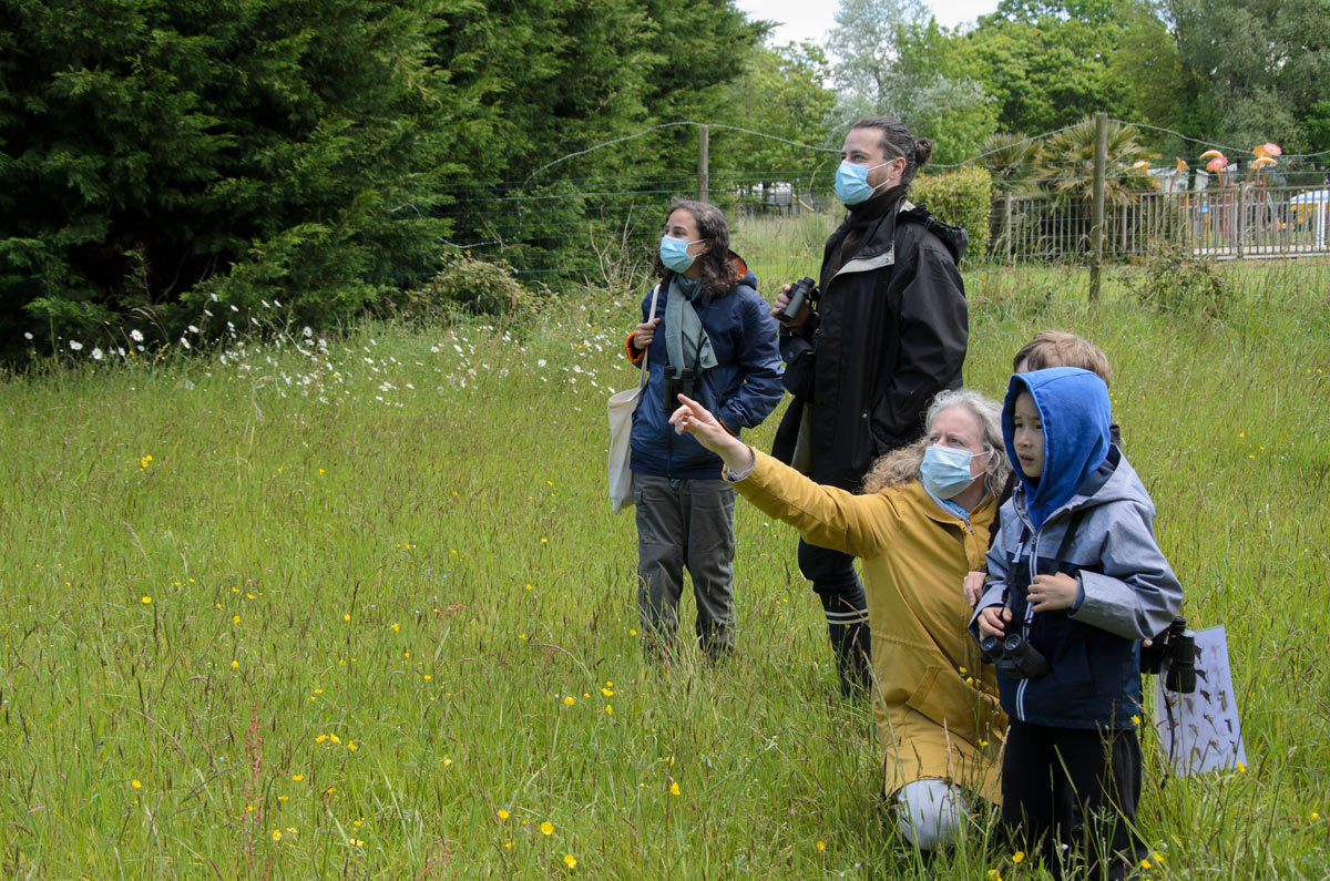 Observation des oiseaux à la fête de la nature