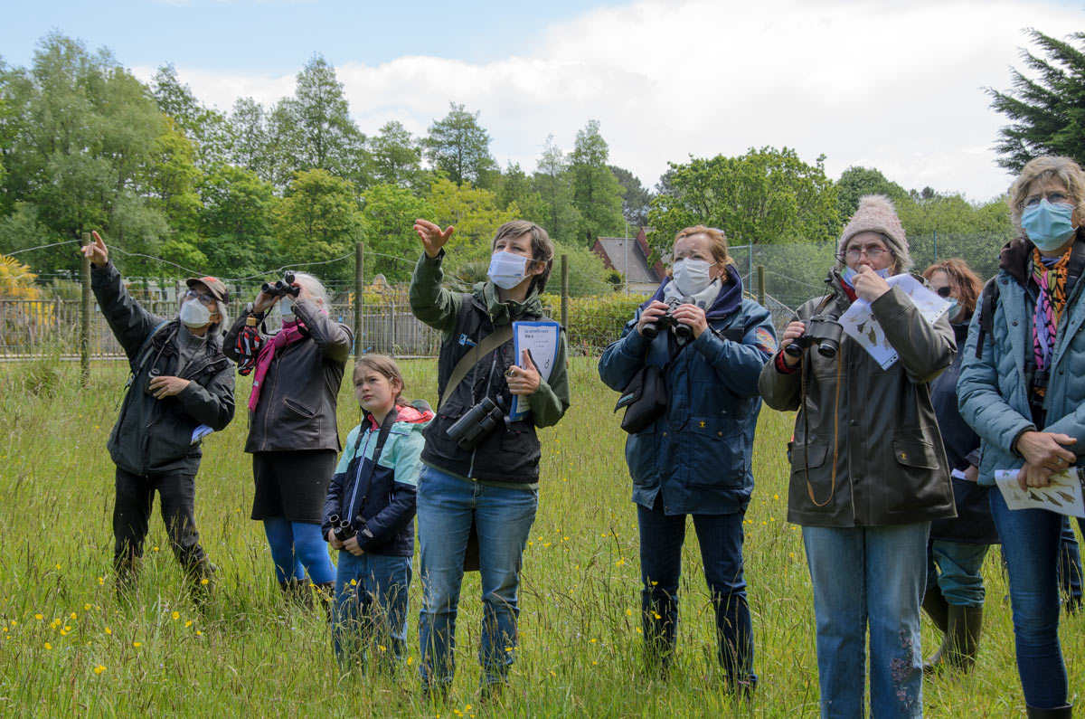 Observation des oiseaux à la fête de la nature