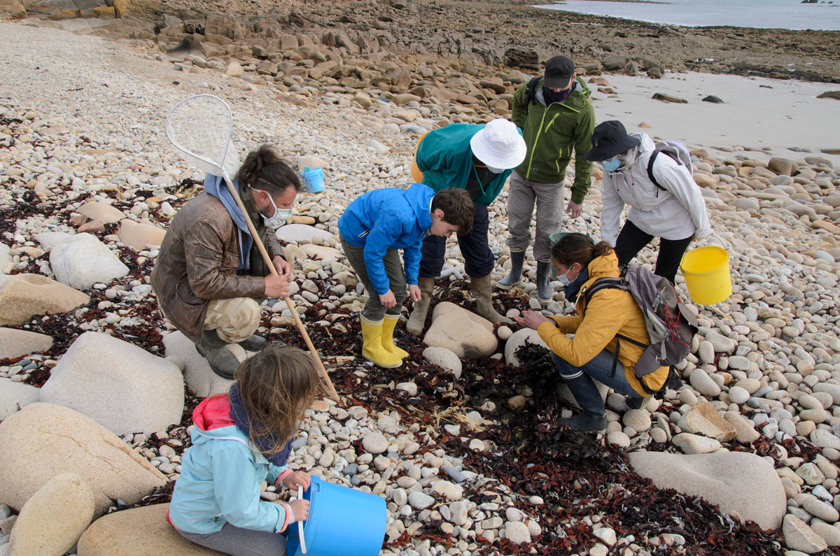 Fête de la nature : étude de la laisse de mer